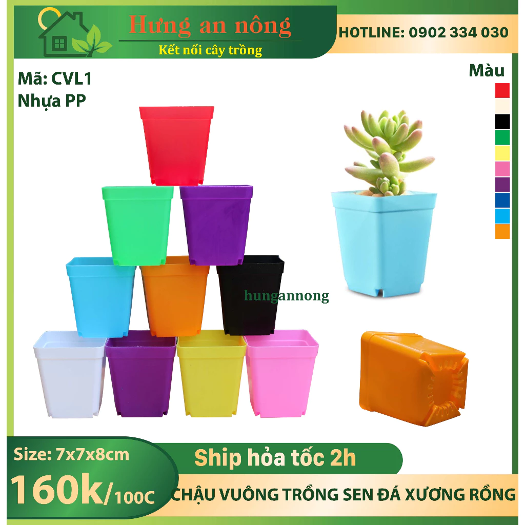 CVL1 - Sét 100 chậu vuông nhựa PP chuyên trồng sen đá xương rồng bonsai cây để bàn size 7x7x8cm