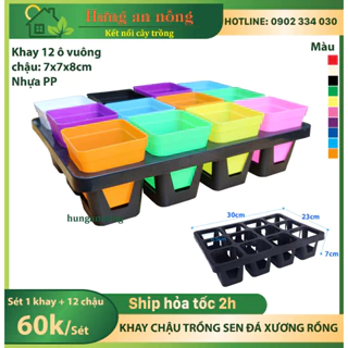 KCL1 - Sét khay 12 ô vuông đen + 12 chậu vuông 7cm mix màu trồng sen đá xương rồng thiết kế chống thấm nước