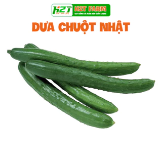 Hạt giống dưa chuột kiếm Nhật Bản, dưa leo giòn ngọt - H2T FARM