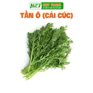 Hạt giống Rau Tần Ô (Rau Cúc Tẻ) ít sâu bệnh, trồng quanh năm - h2t farm