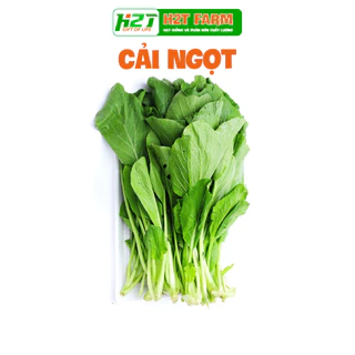 Hạt Giống Rau Cải Ngọt Cao Sản - h2t farm (Agriscience)