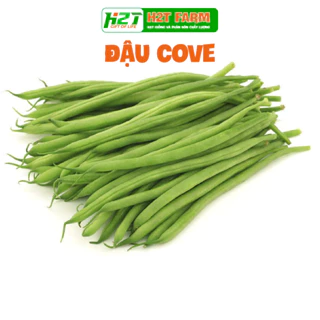 Hạt giống Đậu Cove Bụi Lùn Sinh Trưởng Khỏe, Trồng Quanh Năm (gói 20gram) - h2t farm (Agriscience)