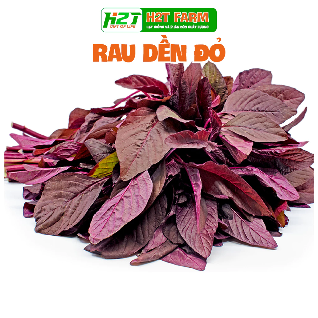 Hạt Giống Rau Dền Đỏ Cao Sản, Dễ Trồng Gói 50gr - h2t farm (Agriscience)