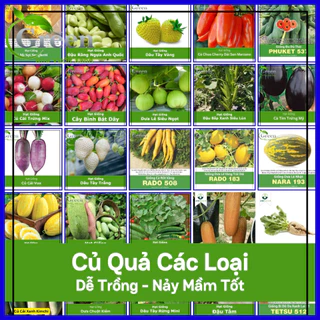 Hạt Giống Rau Ăn Củ Quả (Bầu, Bí, Mướp, Dưa Leo,...) Dễ Trồng, Nảy Mầm Cao