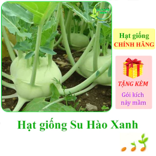 [Seeds] Hạt giống Su hào xanh Rạng Đông Rado 703 (gói 5 gram khoảng 700 hạt) - Hàng chính hãng