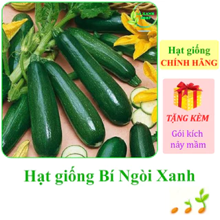 [Seeds] Hạt giống Bí ngòi xanh Rạng Đông Rado 639 (gói 1 gram khoảng 10 hạt) - Hàng chính hãng