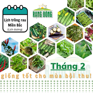 Hạt giống Rau Củ Quả trồng theo mùa ở miền BẮC - THÁNG 2 sinh trưởng tốt, năng suất cao - Hạt giống Rạng Đông