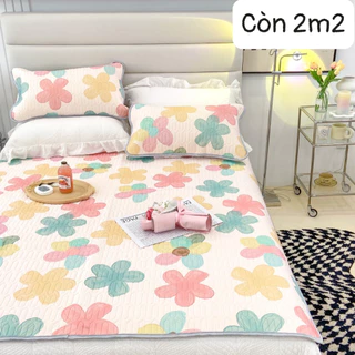 2 Vỏ gối nằm trần cao su kích thước 50x70cm dành cho người lớn