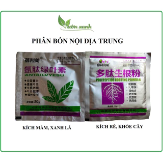 Chế phẩm kích mầm, bật chồi xanh lá, tốt rễ nội địa TRUNG- 30gr