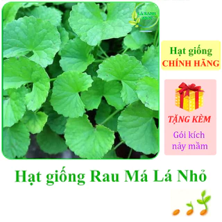 [Seeds] Hạt giống Rau má lá nhỏ Rạng Đông Rado 05 (gói 1 gram khoảng 500 hạt) - Hàng chính hãng