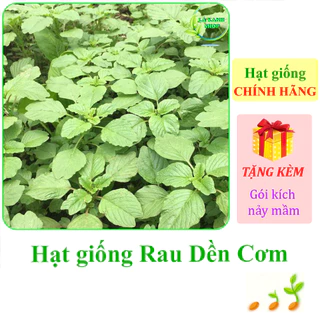 [Seeds] Hạt giống Rau dền cơm Rạng Đông Rado 86 (gói 10 gram khoảng 3000 hạt) - Hàng chính hãng