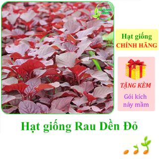 [Seeds] Hạt giống Rau dền đỏ Rạng Đông Rado 15 (gói 20 gram khoảng 7000 hạt) - Hàng chính hãng