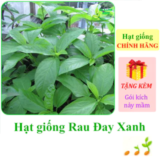 [Seeds] Hạt giống Rau đay xanh Rạng Đông Rado 21 (gói 20 gram khoảng 2500 hạt) - Hàng chính hãng