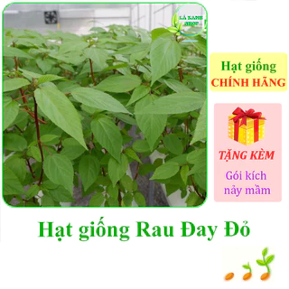 [Seeds] Hạt giống Rau đay đỏ Rạng Đông Rado 88 (gói 20 gram khoảng 2500 hạt) - Hàng chính hãng