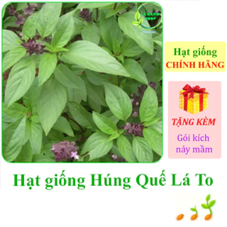 [Seeds] Hạt giống Rau Húng Quế lá to Rạng Đông Rado 25 (gói 10g khoảng 5000 hạt) - Hàng chính hãng