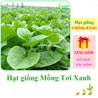 [Seeds] Hạt giống rau Mồng tơi xanh Rạng Đông Rado 38 (gói 20 gram khoảng 400 hạt) - Hàng chính hãng