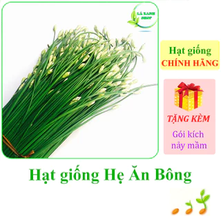 [Seeds] Hạt giống Hẹ ăn bông Rạng Đông Rado 523 (gói 1 gram khoảng 300 hạt) - Hàng chính hãng