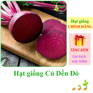 [Seeds] Hạt giống Củ dền đỏ Rạng Đông Rado 702 (gói 5 gram khoảng 300 hạt) - Hàng chính hãng