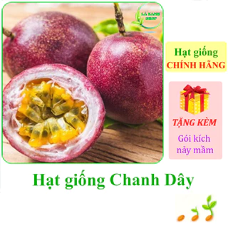 [Seeds] Hạt giống Chanh dây Rạng Đông Rado 638 (gói 0,2 gram khoảng 12 hạt) - Hàng chính hãng