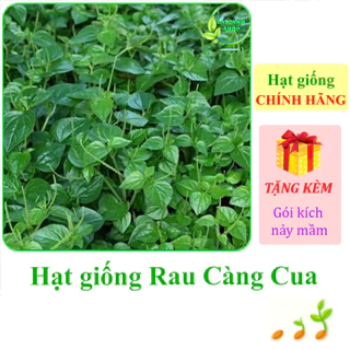 [Seeds] Hạt giống Rau Càng cua Rạng Đông Rado 666 (gói 0,5 gram khoảng 900 hạt) - Hàng chính hãng