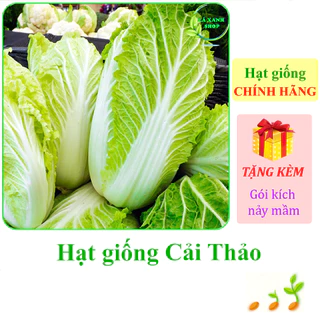 [Seeds] Hạt giống Cải thảo Rạng Đông RAMBO (gói 0,5 gram khoảng 120 hạt) - Hàng chính hãng