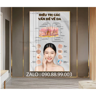 Khung tranh chăm sóc da trị mụn nám tiêm mesotherapy cho spa