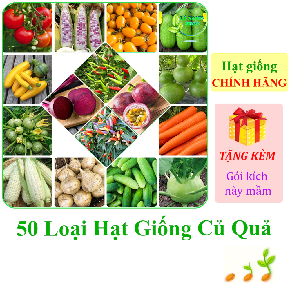 [Seeds] Hạt giống củ quả Rạng Đông gói 1g / 2g / 5g / 10g / 20g - Hàng chính hãng