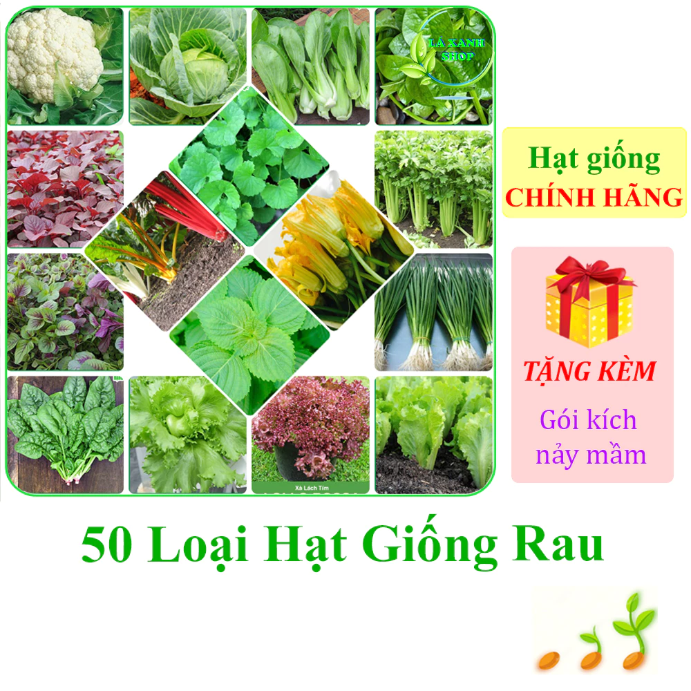 [Seeds] Hạt giống rau Rạng Đông gói 1g / 2g / 5g / 10g / 20g / 50g - Hàng chính hãng