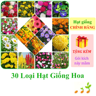 [Seeds] Nhiều Loại Hạt Giống Hoa Chính Hãng, Màu Sắc Đẹp, Dễ Trồng, Sinh Trưởng Khỏe