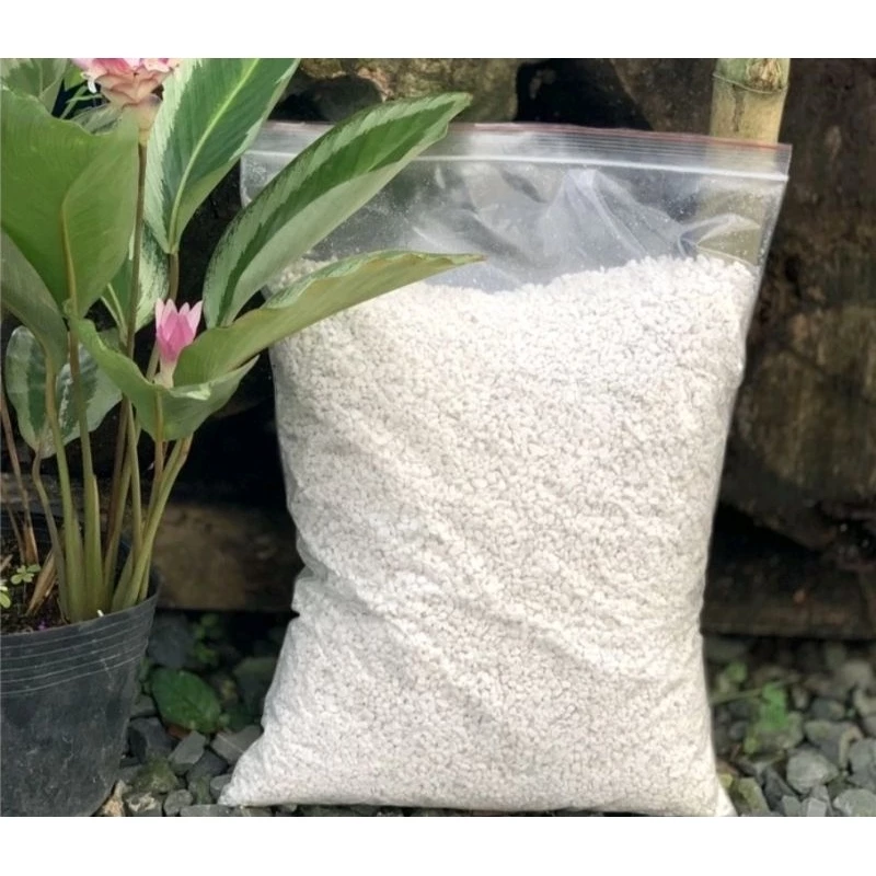 1kg Đá Perlite - Đá trân châu giúp đất tơi xốp, nhẹ, thoáng khí - inbonsai.com