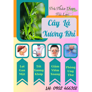 Trà Cây Lá Xương Khỉ, Cải thiện viên xoang, hỗ trợ cải thiện u-ng thư, bảo vệ gan, 40 Túi lọc , tra dong y viet