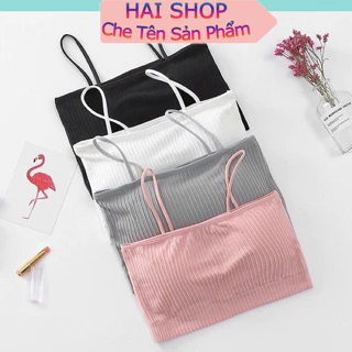 Áo Bra Nữ Quây Ngực Có Đệm Mỏng Cotton Gân Siêu Xinh 809 Đồ Lót HAISHOP