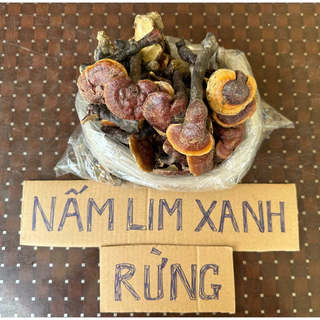 [CHÍNH HÃNG] Nấm Lim Xanh Nam Dược Việt (chuẩn rừng)