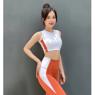 Đồ Tập Gym Nữ, Bộ Tập Gym Yoga Aerobic Nữ Áo Bra Quần Dài Chất Liệu Co Giãn 4 Chiều Thấm Hút Tốt BH01