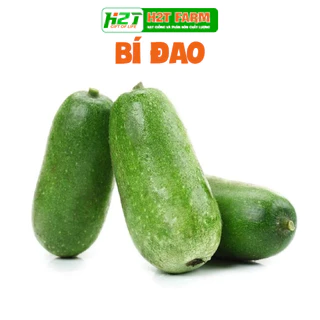 Hạt giống Bí Đao Chanh Lai F1 Siêu Trái, Sinh Trưởng Khỏe, Trồng Quanh Năm  0,4 gram 20 hạt - h2t farm (Agriscience)