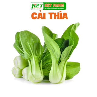 20g Hạt Giống Cải Thìa - h2t farm (Agriscience)