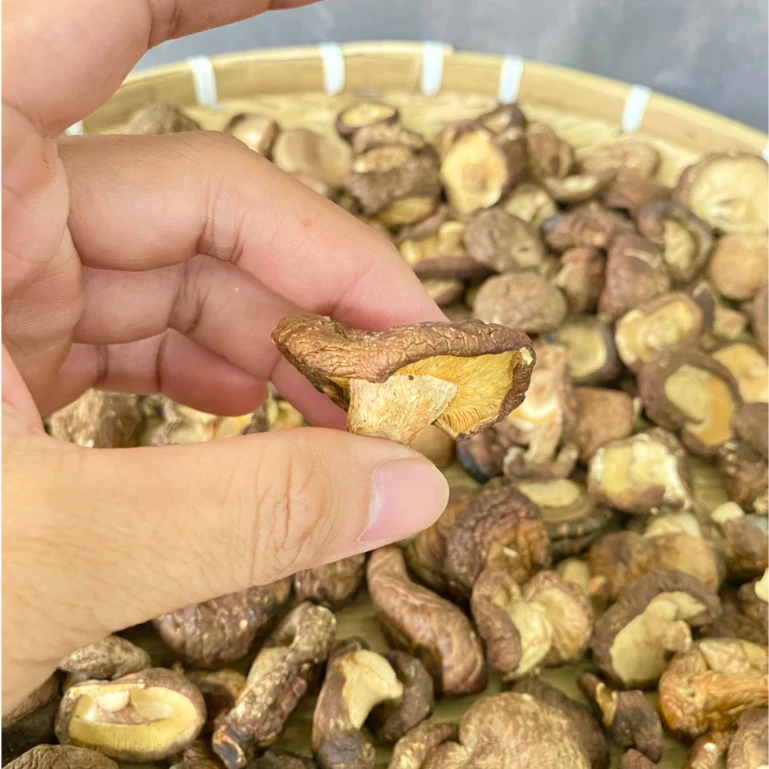 NẤM HƯƠNG KHÔ LOẠI 1 THƠM - NẤM ĐÔNG CÔ THỊT DÀY CƠM THƠM NGON, DINH DUỠNG THỰC PHẨM CHAY