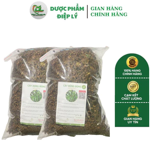 Cây Bòng Bong Sấy Khô Cây Hải Kim Sa  Hỗ Trợ Ngừa Suy Thận 1kg - Dược Phẩm Điệp Lý