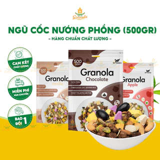 [Hot Trend] Ngũ Cốc Nướng Phồng Granola Mix Sữa Chua Sấy Giảm Cân Ăn Kiêng Siêu Ngon Befresco 500G (Hạt Ngon)