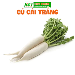 Hạt Giống Củ Cải Trắng Củ To, Năng Suất Cao