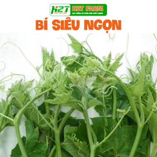 Hạt giống Bí Siêu Ngọn (Bí Lấy Ngọn) siêu đọt, giòn, ngọt, trồng quanh năm (gói 10 gr)