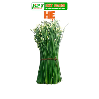 Hạt Giống Hẹ Cao Sản, Chất Lượng Cao - h2t farm