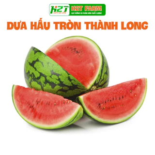 Hạt giống dưa hấu thành long f1 - h2t farm