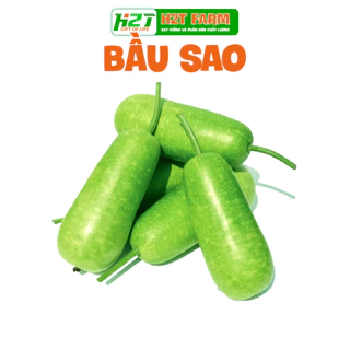 Hạt giống Bầu Sao Ấn Độ Dài F1 3gr 20 Hạt - h2t farm (Agriscience)