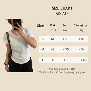 Áo phông nữ nhún eo cổ tim ♥️LENOGI♥️ Áo thun cotton nữ cổ tim nhún eo A54