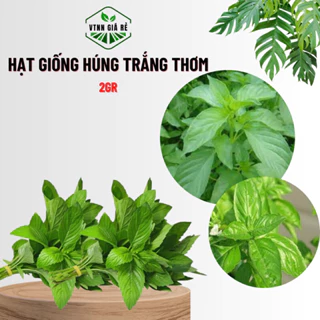 HẠT GIỐNG HÚNG TRẮNG THƠM 2gr - MUA 3 TẶNG 1 CÙNG LOẠI