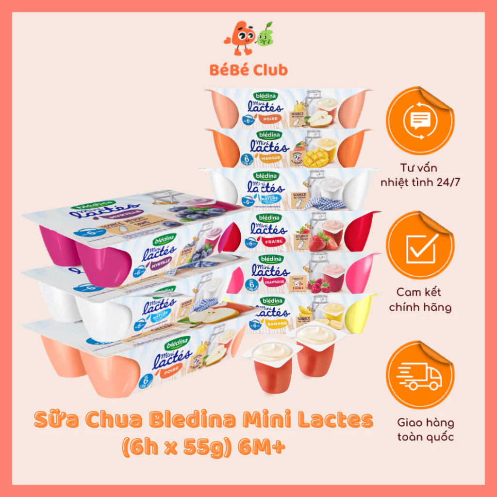 Sữa Chua Bledina Mini Lactes  6h x 55g