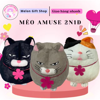 MÈO BÔNG AMUSE 3 MÀU ĐEN-XÁM-TAM THỂ (MÈO JENIFFER 2 NGÀY 1 ĐÊM)