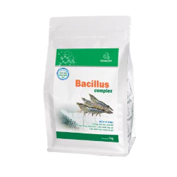 Men Vi Sinh BACILLUS complex TÔM (1KG)_Hàng Chính Hãng