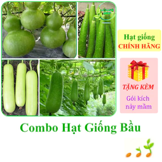 [Seeds] Nhiều Loại Hạt Giống Bầu Chính Hãng, Dễ Trồng, Sai Trái, Sinh Trưởng Khỏe